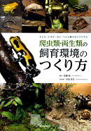 爬虫類・両生類の飼育環境のつくり方