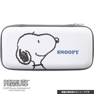 Xk[s[ |[` i Switch2 pj tFCX