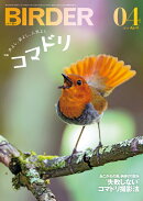 BIRDER (バーダー) 2026年 4月号 [雑誌]