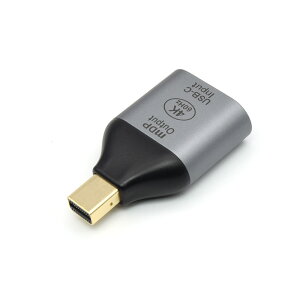 jzgXgeNmW[ Type-CX[miniDPIXϊA_v^