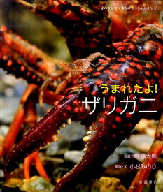 楽天市場 図鑑 子ども ザリガニの通販