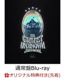 【楽天ブックス限定先着特典】King Gnu Dome Tour THE GREATEST UNKNOWN at TOKYO DOME(通常盤)【Blu-ray】(オリジ…