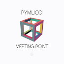 【輸入盤】Meeting Point