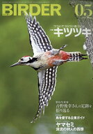 BIRDER (バーダー) 2026年 5月号 [雑誌]