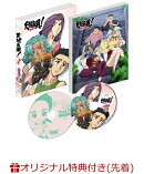 【楽天ブックス限定全巻購入特典+全巻購入特典+他】天地無用！魎皇鬼 第伍期 Blu-ray第4巻 特装版 【Blu-ray】(B2布…