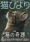 猫びより 2019年 05月号 [雑誌]