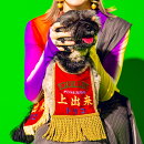 上出来 (2CD+DVD+スマプラ)
