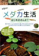 メダカ生活はじめませんか？