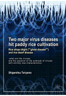 【POD】Two major virus diseases hit paddy rice cultivation Rice stripe blight (""""ghost disease"""") and ri…