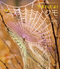 楽天市場 クモ 絵本の通販