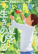 NHK やさいの時間 2026年 6月号 [雑誌]