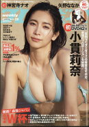 週刊プレイボーイ 2026年 6/29号 [雑誌]