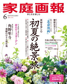 家庭画報 2026年 6月号 [雑誌]