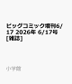 【予約】ビッグコミック増刊6/17 2026年 6/17号 [雑誌]