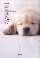 一分間だけ