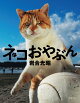 ネコブームで大人気！人気写真家の岩合光昭さんの撮った、ネコの写真集やDVDを教えて！