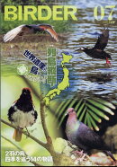 BIRDER (バーダー) 2025年 7月号 [雑誌]