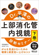 Dr.平澤の上部消化管内視鏡診断セミナー　下巻 [ 平澤　俊明 ]