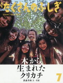 月刊 たくさんのふしぎ 2026年 7月号 [雑誌]
