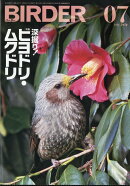 BIRDER (バーダー) 2026年 7月号 [雑誌]
