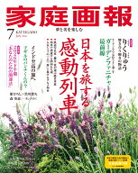 家庭画報 2026年 7月号 [雑誌]