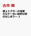 極上ドクターの溺愛カルテ〜甘い秘密は恋のはじまり〜 2