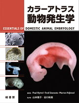楽天市場】動物病理カラーアトラス 第2版の通販