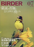 BIRDER (バーダー) 2019年 07月号 [雑誌]