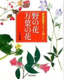 楽天市場 夜叉五倍子の通販