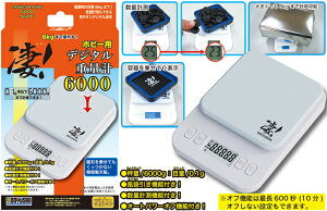 Izr[pfW^dʌv6000 (H)