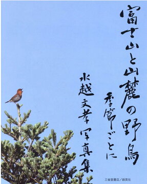 本 写真集 タレント 週間ランキング 動物 自然 楽天ブックス