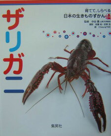 楽天市場 ザリガニ 図鑑の通販