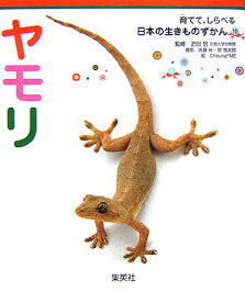 ヤモリ 育てて、しらべる 日本の生きものずかん 10 [ 疋田 努 ]