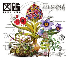 図鑑 (初回生産限定盤 CD＋Blu-ray)