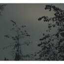 Beside the Moon
