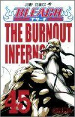 BLEACH 45