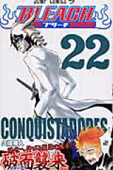 BLEACH 22