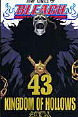 BLEACH 43