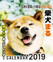2019年　柴犬まる週めくり卓上カレンダー [ 小野　慎二郎 ]