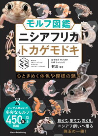 モルフ図鑑 ニシアフリカトカゲモドキ 心ときめく体色や模様の魅力 [ RAF ちゃんねる 有馬 ]