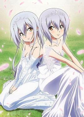 ISLAND Vol.4��Blu-ray��