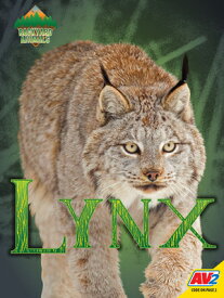 Lynx BACKYARD ANIMALS LYNX （Backyard Animals） [ Blaine Wiseman ]