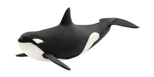 yVCqz@V`@Wild Life^ChCt@14807N