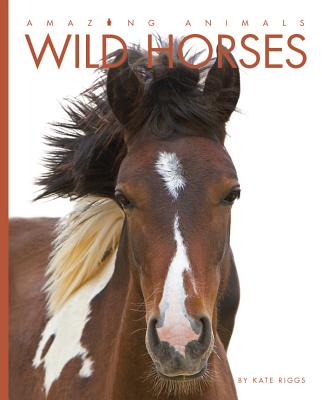 楽天ブックス: Amazing Animals: Wild Horses - Kate Riggs - 9781628320930 : 洋書