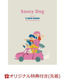 【楽天ブックス限定先着特典+早期予約特典】Saucy Dog DOME LIVE 2026 「A NEW DAWN」20260104 KYOCERA DOME OSAKA(…