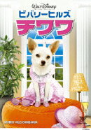 ビバリーヒルズ・チワワ