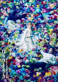 ミュージカル『ヴェラキッカ』Blu-ray 初回限定豪華版【Blu-ray】 [ 美弥るりか ]