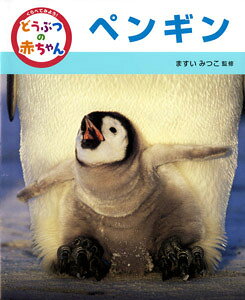 楽天ブックス: ペンギン - 増井 光子 - 9784591100998 : 本