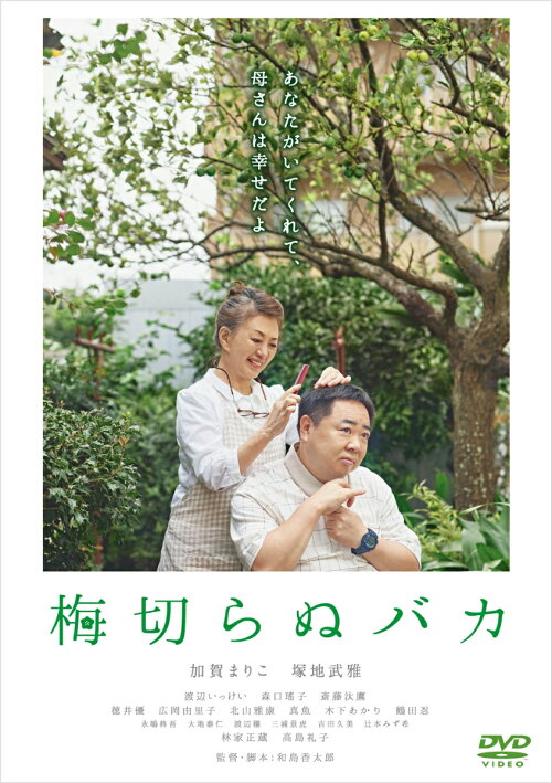 楽天ブックス 梅切らぬバカ 和島香太郎 加賀まりこ Dvd