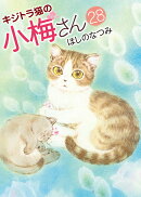 キジトラ猫の小梅さん　28